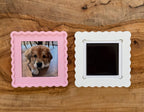 Single Magnet Frame (Frame Only)